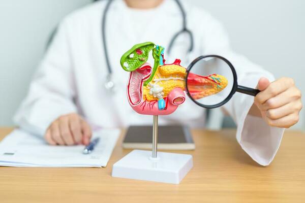pancreas treatment best pancreas treatment in kalyan west